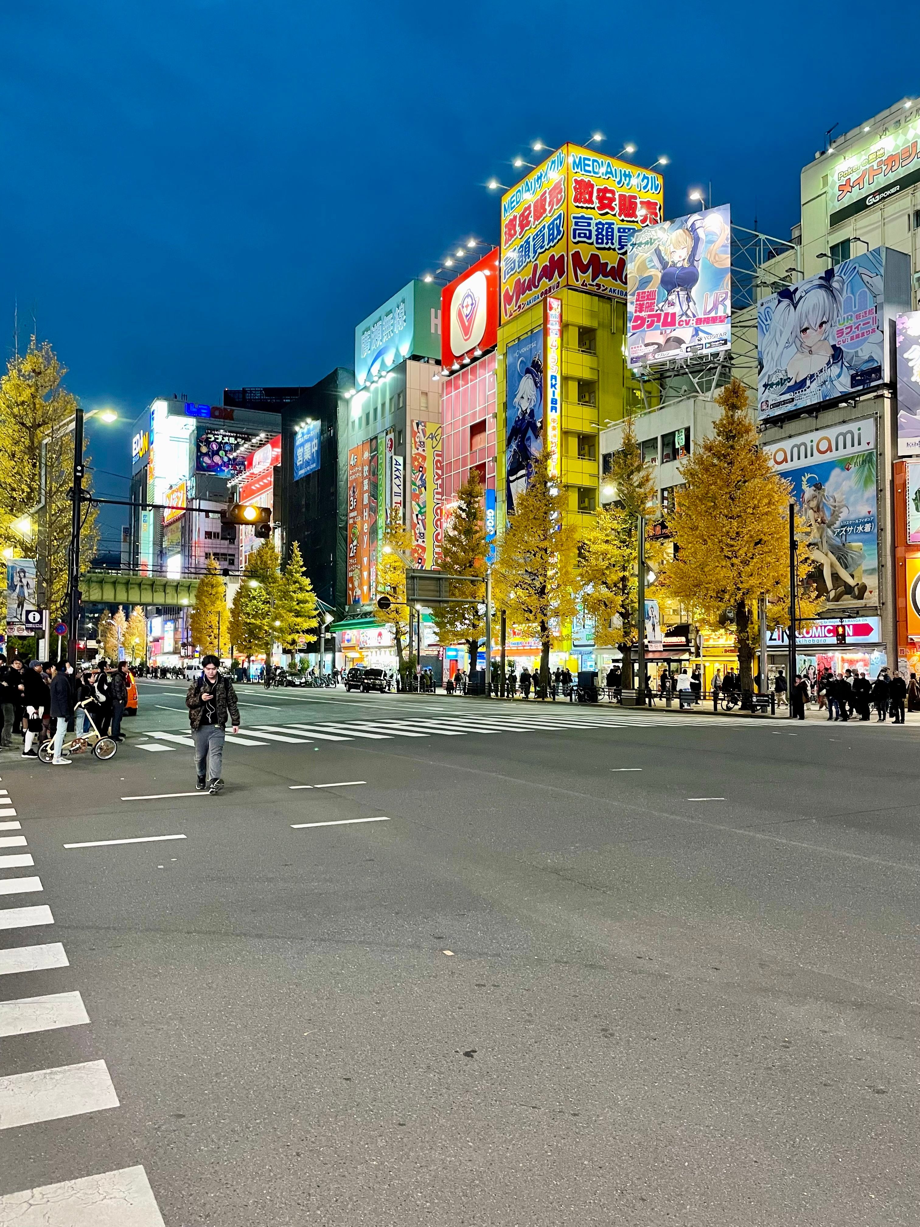 Akihabara at night, with a view of the ginkgo trees