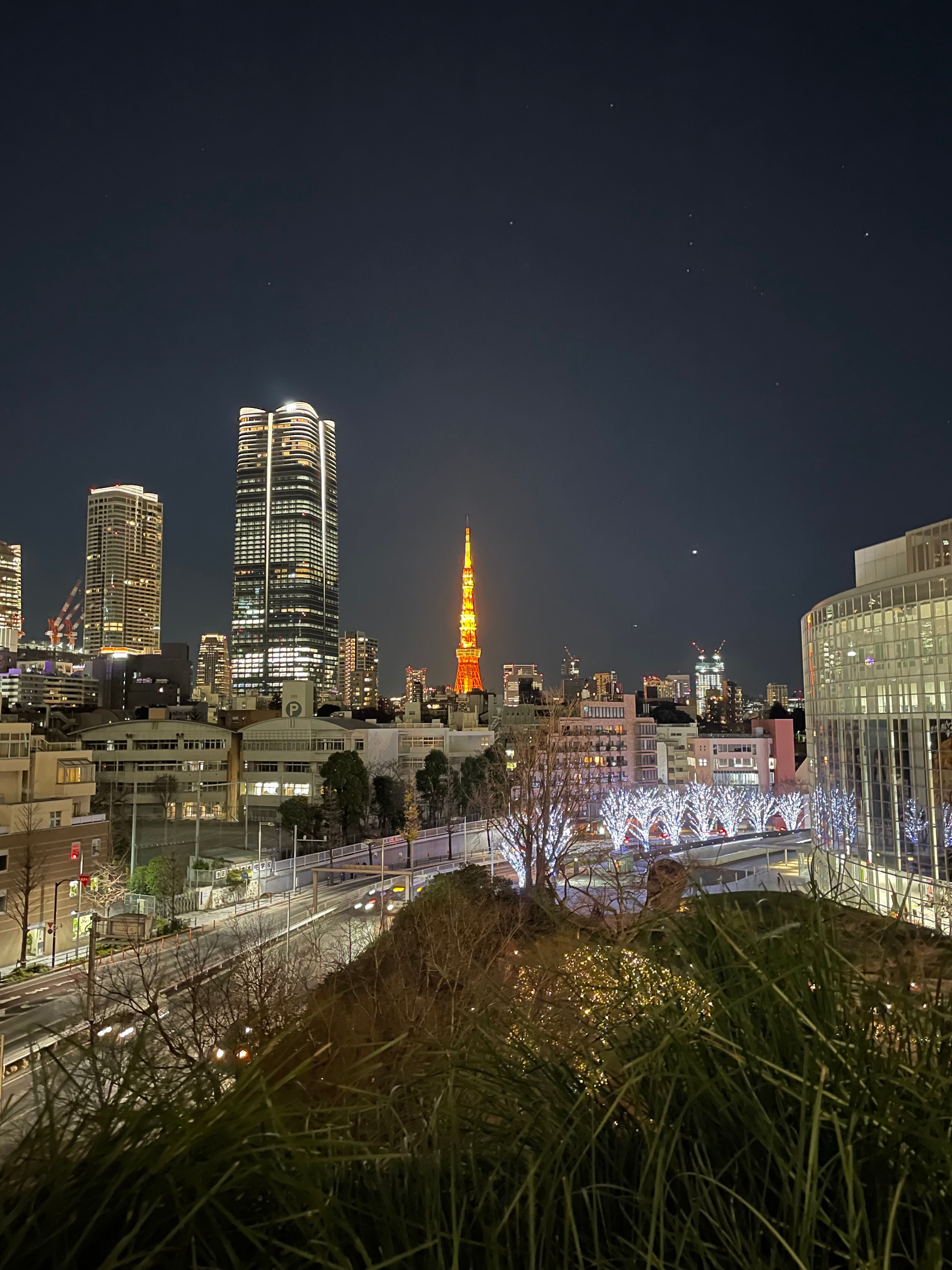 Tokyo Tower in the distance