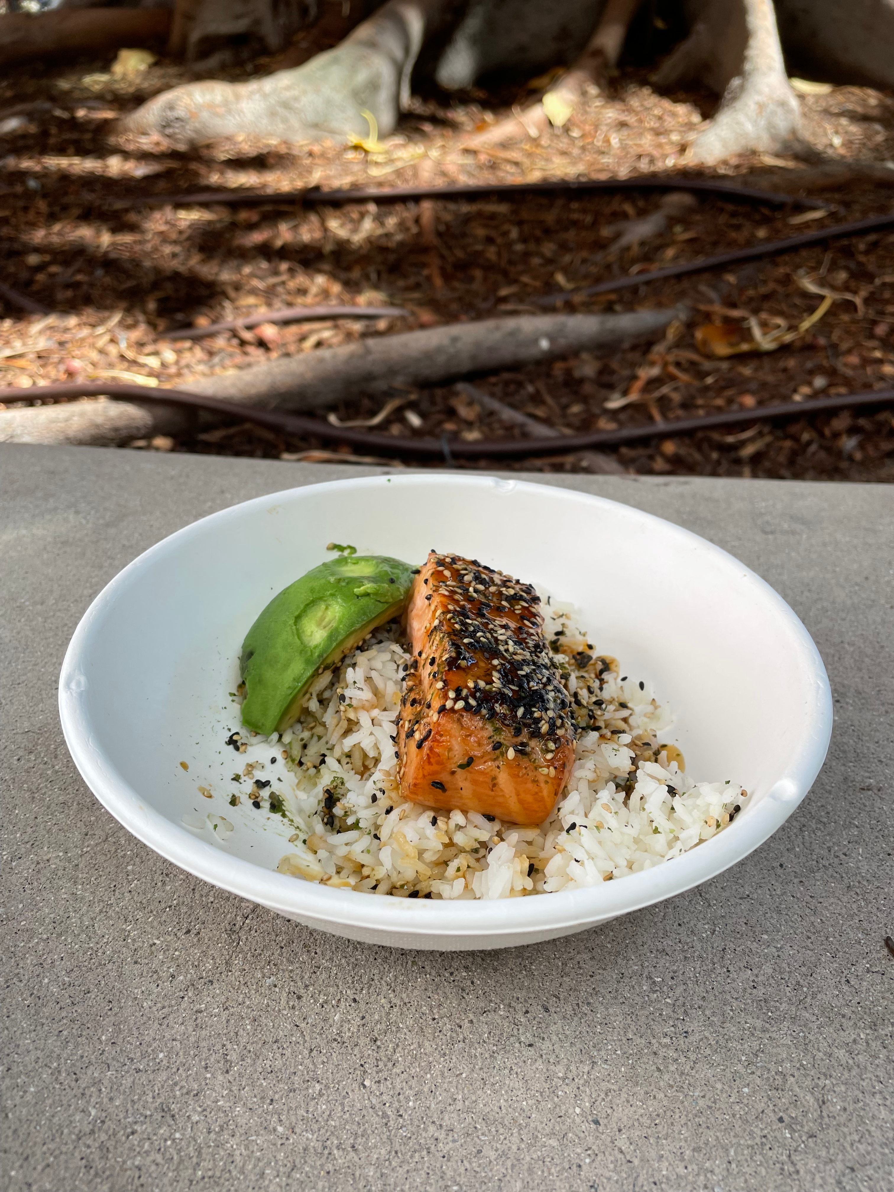 Salmon bowl; probably my favorite item on campus