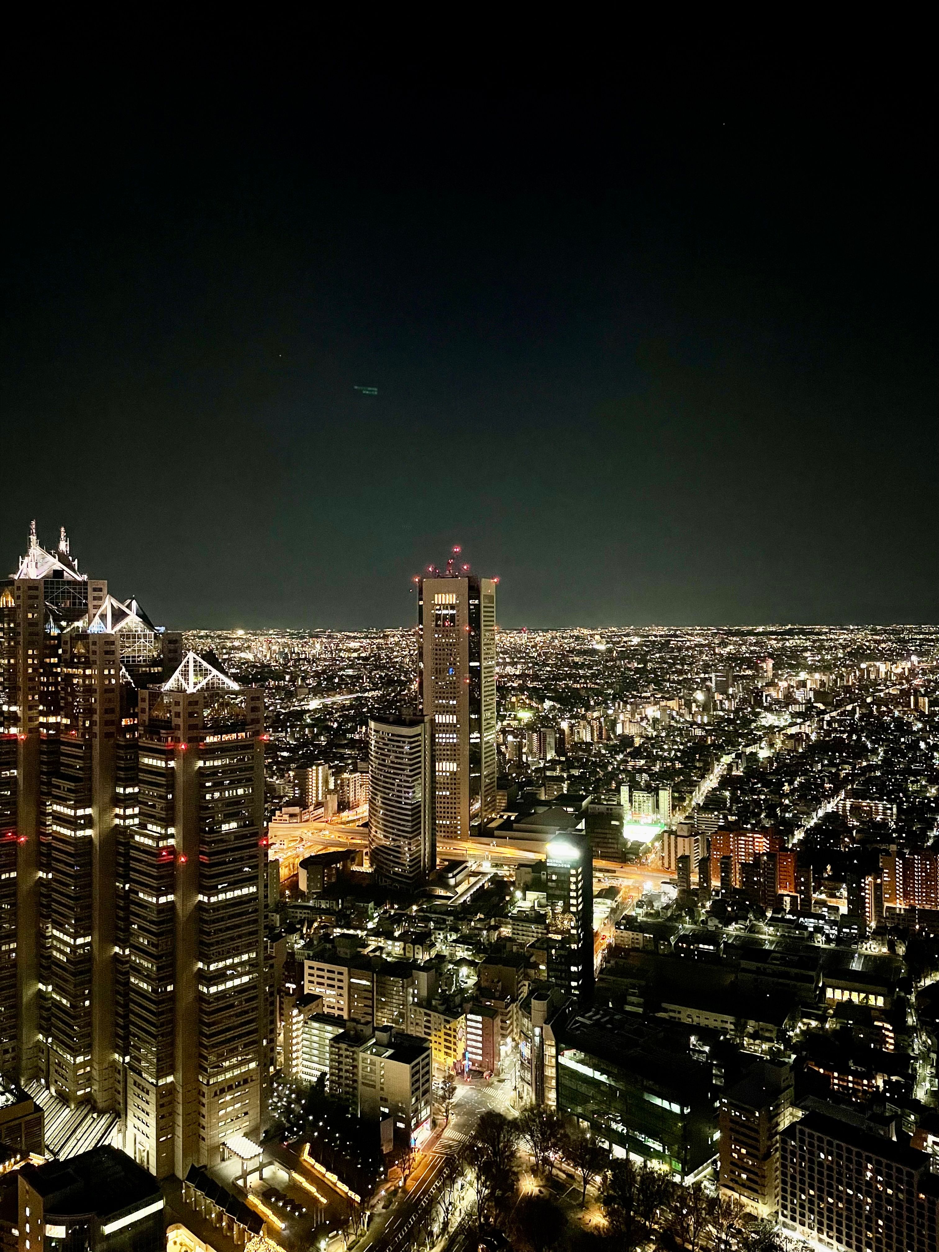 No longer as popular as the other tall towers of the city, but the Tokyo Metropolitan Government Building is free and still offers a beautiful view of the city